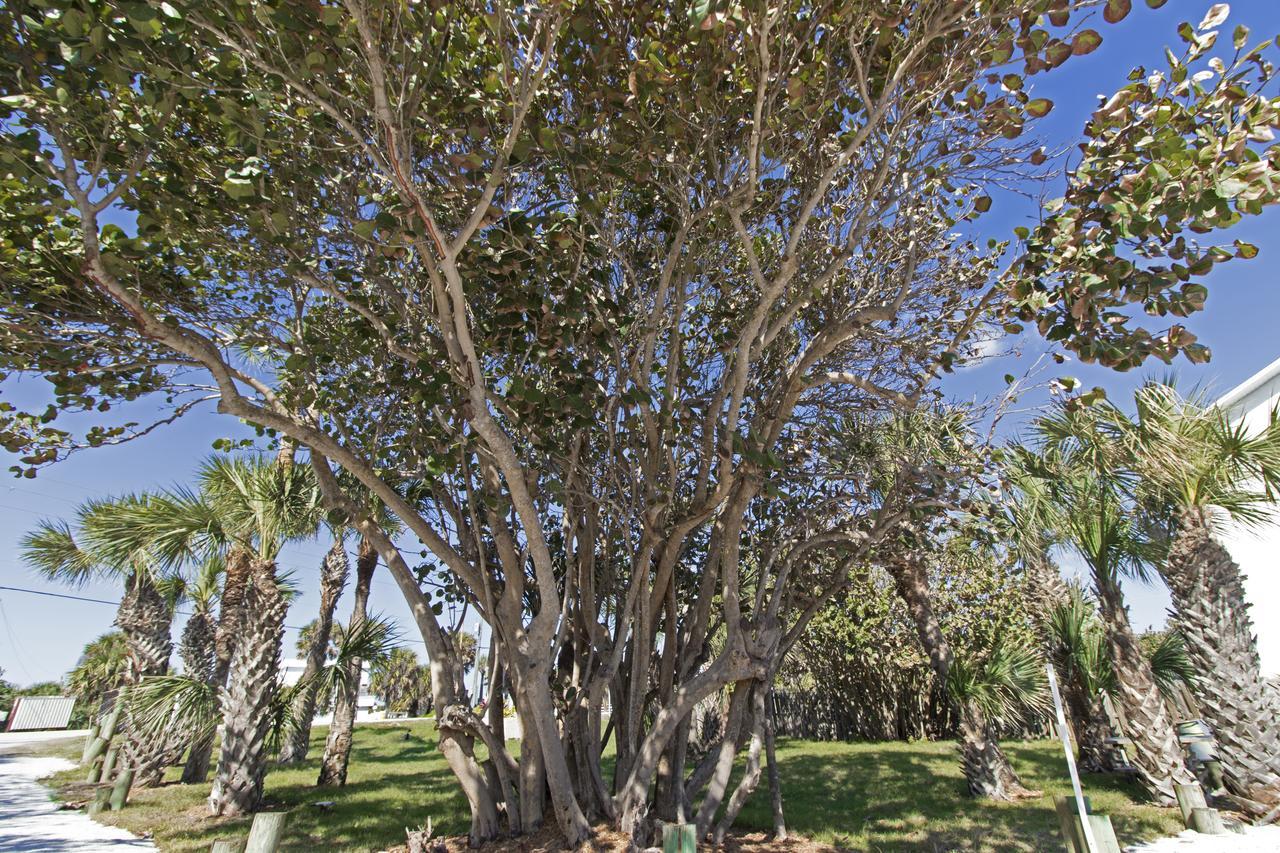 Sea View Inn Melbourne Beach Εξωτερικό φωτογραφία